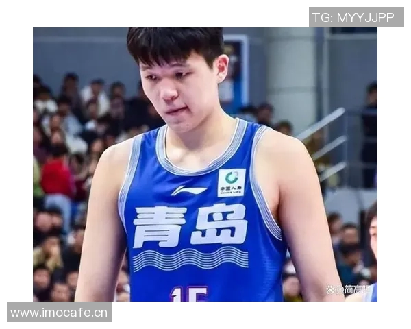 杨瀚森面临四大挑战：频繁犯规速度不足失误频繁与克林根配合不佳