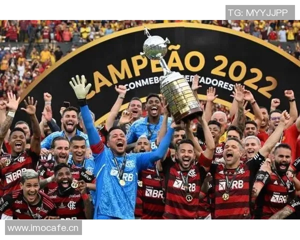 弗拉门戈租用五架飞机全力出征秘鲁争夺解放者杯冠军