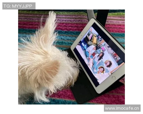 萨格斯直播中坦言与WNBA球员海莉范丽丝已结束恋情现为单身状态