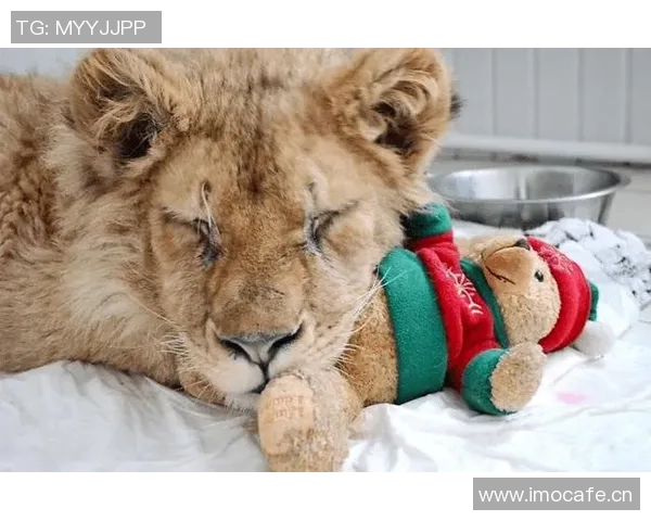 普理查德重拾胜率过半信心满满期待球队继续保持良好势头 普理查德重拾胜率过半信心满满期待球队继续保持良好势头