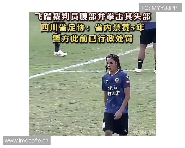 彝族球员日火瓦体随津门虎试训引关注曾因飞踹裁判遭争议